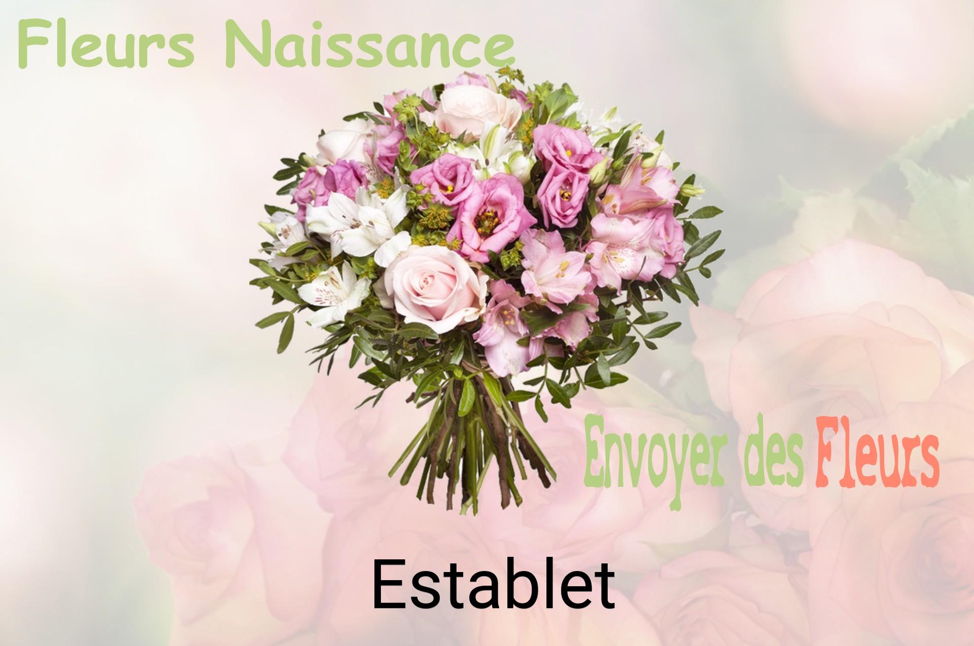 Bouquet de fleurs de naissance livré à Establet