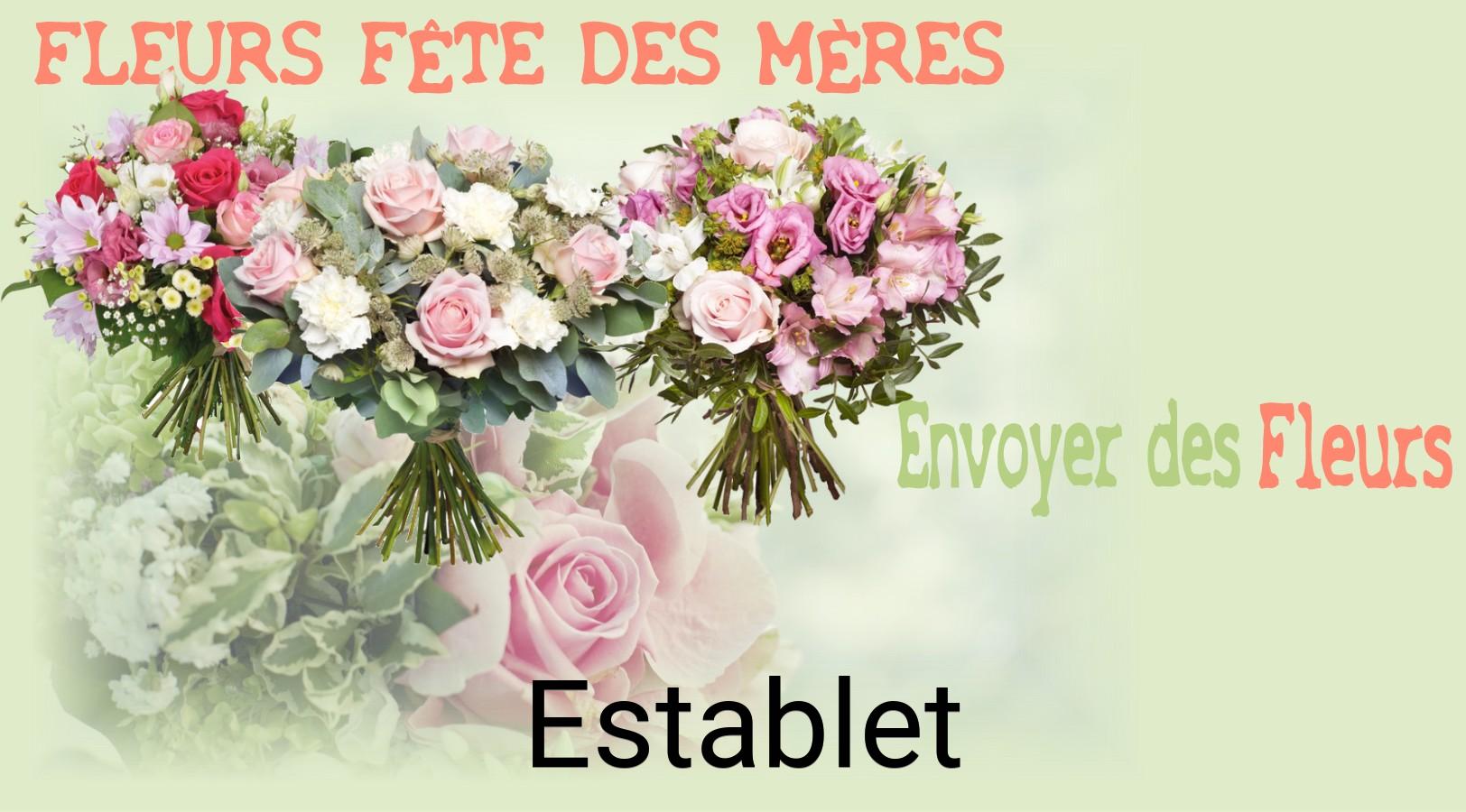 Bouquet de Fête des Mères livré à Establet